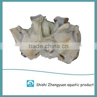 Frozen Giant Peru fillet squid neck Size 500+ on sale