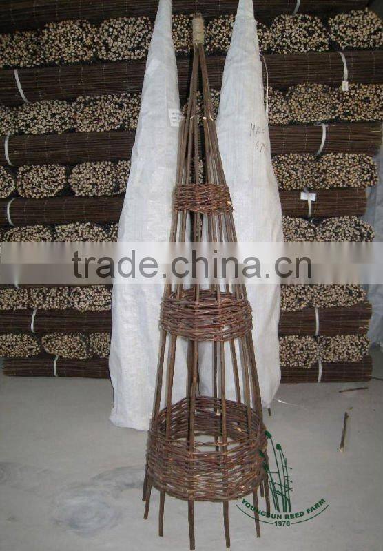 gardening willow obelisk