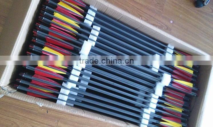 Carbon Arrows With Automatic Lighted Led Nocks/S nocks And Blazer Vanes