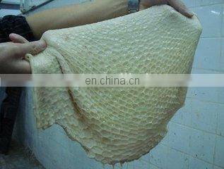 Stainless Steel cow and sheep Low tripe washer,tripe cleaning machine