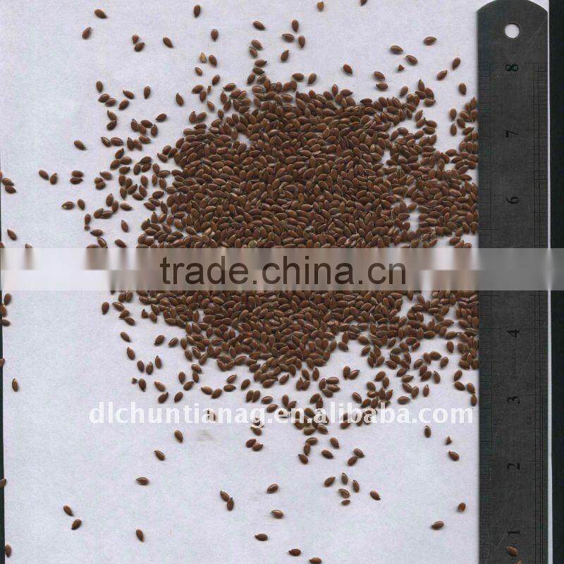 Chinese flax seeds/linseeds