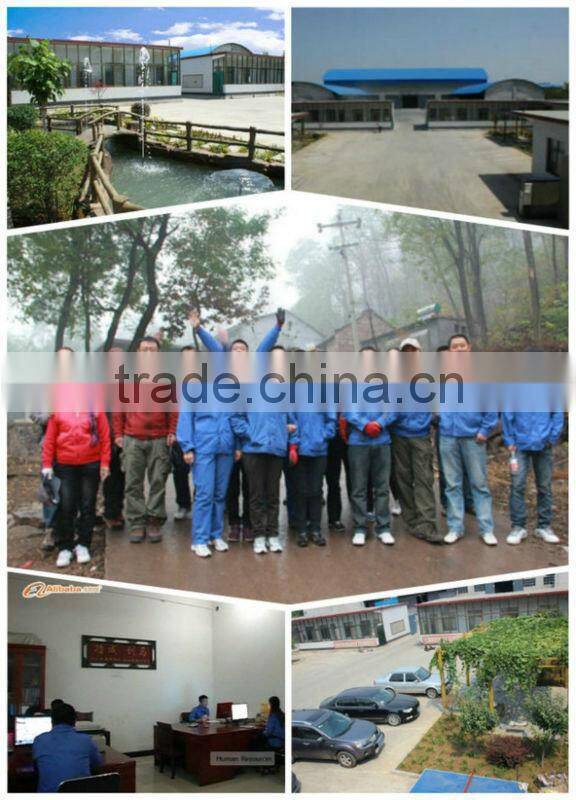 90 degree 1Cr5Mo seamless alloy steel Elbow China Supplier