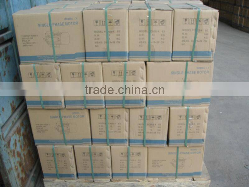 YC112M4 Small Electric 110 Volt Electric Motor