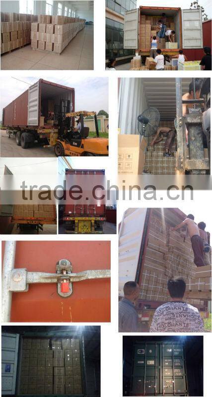 Fire extinguisher filler Dry powder Foam