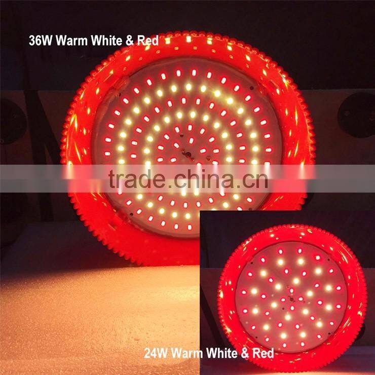 Hot Selling Energy Saving Eco-friendly Manufacturer in China 24W Modern LED Pendant Fresh Light