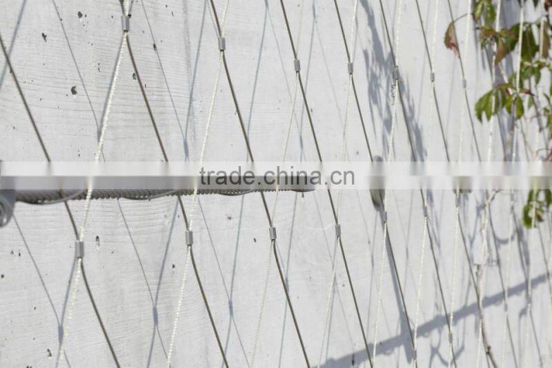 2mmx50mm stainless steel rope mesh green wall