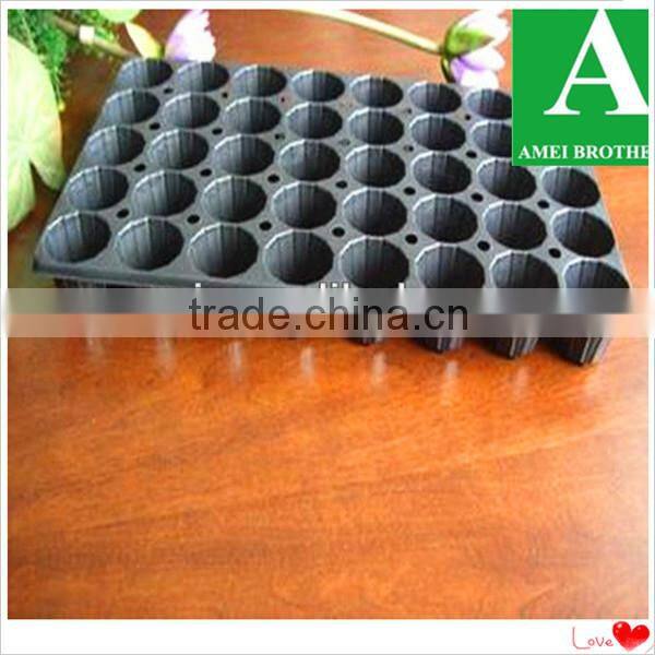 600x550x100mm PS plastic thick seeding tray