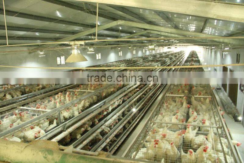 chicken layer cage for sale with chicken cage in China/chicken cage
