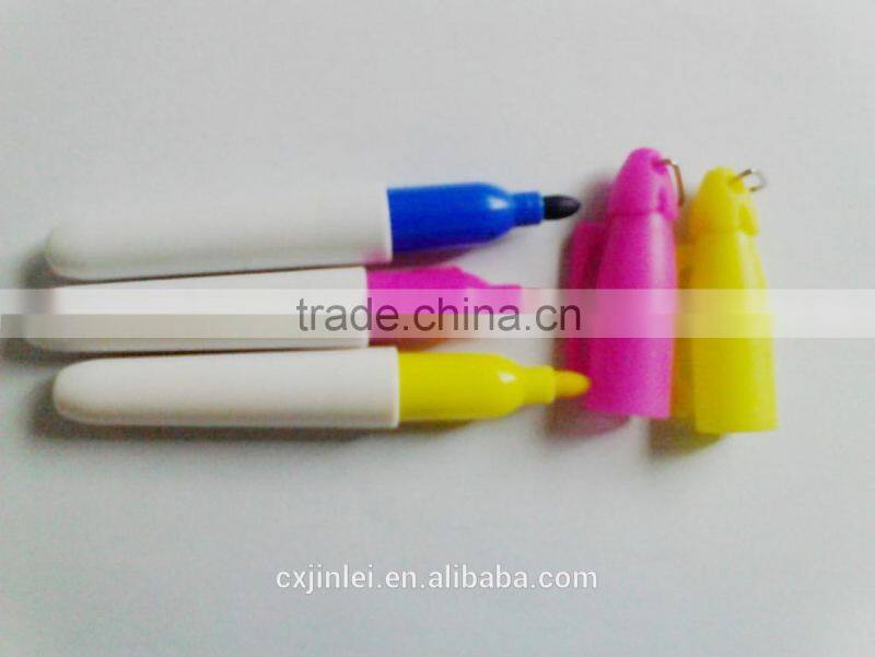 Mini Multi-color Permanent Pen