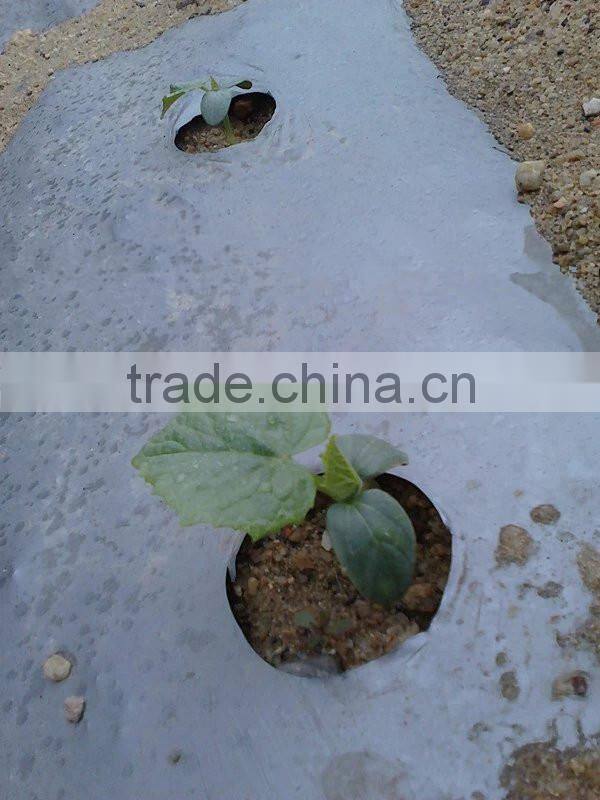Lowest price with high quality agricultural black mulch film uv polyethylene film