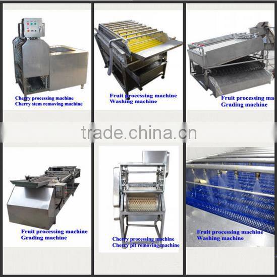 Good price Plum pitter machine/ jujube pitting machine/ automatic cherry seed remove equipment