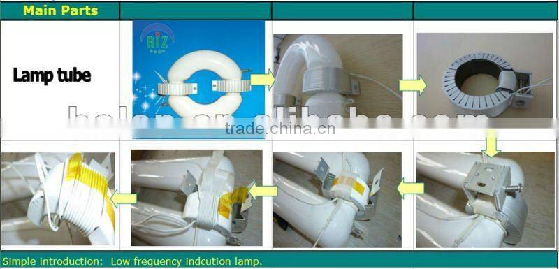 induction lamp downlight fitting