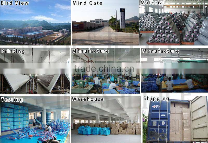 8mW Giant inflatable transparent Spider tents for sale