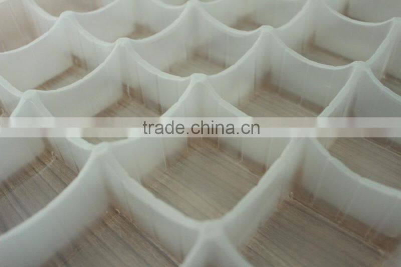 special design PP plastic thermoforming blister tray