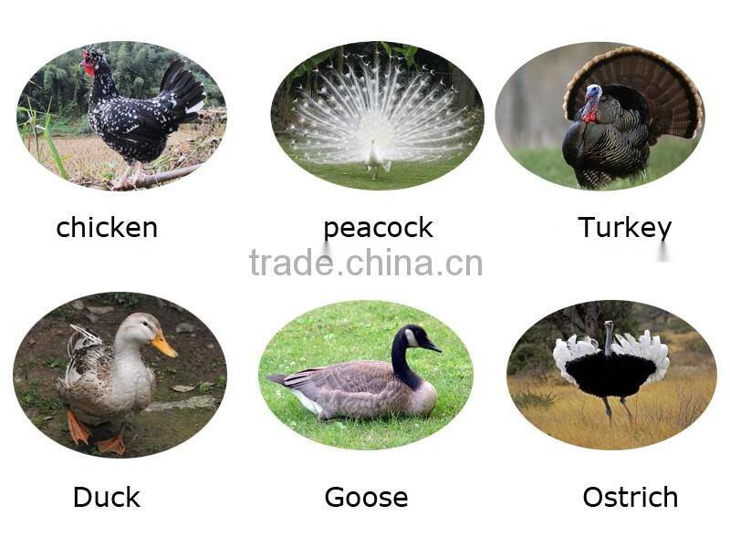 2112 industrial egg incubator professional incubator for hatching ostrich eggs