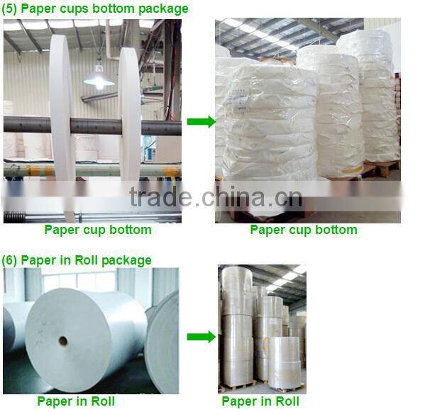 1 wall pe coated paper in sheet