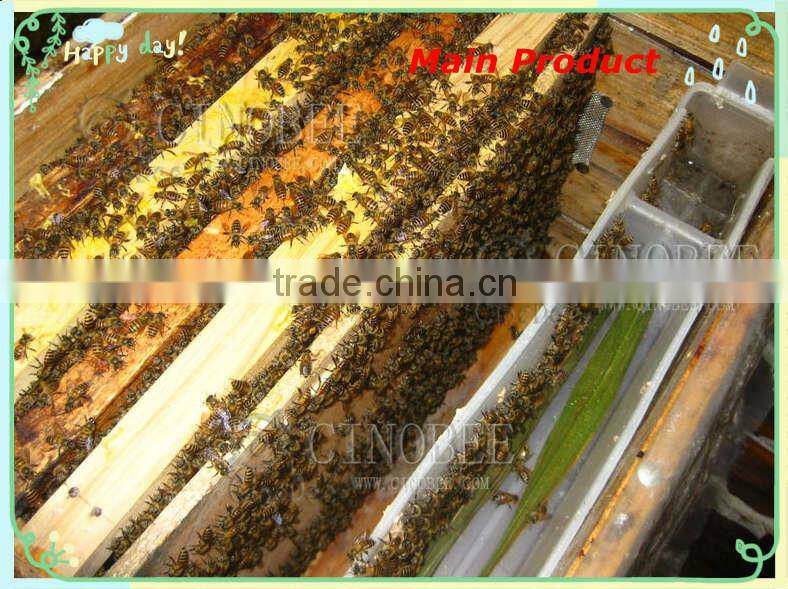 high qualtiy entrance plastic bee feeder