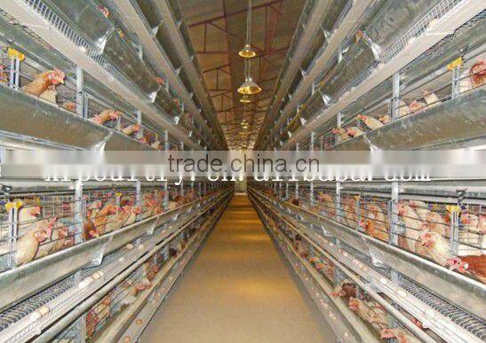 prefab chicken house stainless steel tube building