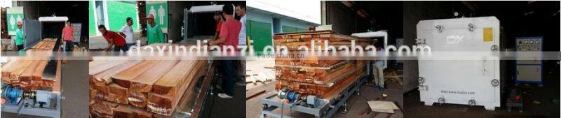 DX-12.0III-DX Alibaba Warranted Trade Assurance HF vacuum wood drying equipment