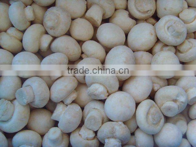 Whole Frozen Champignon Mushrooms Supplier