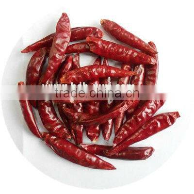 high quality dry red chili