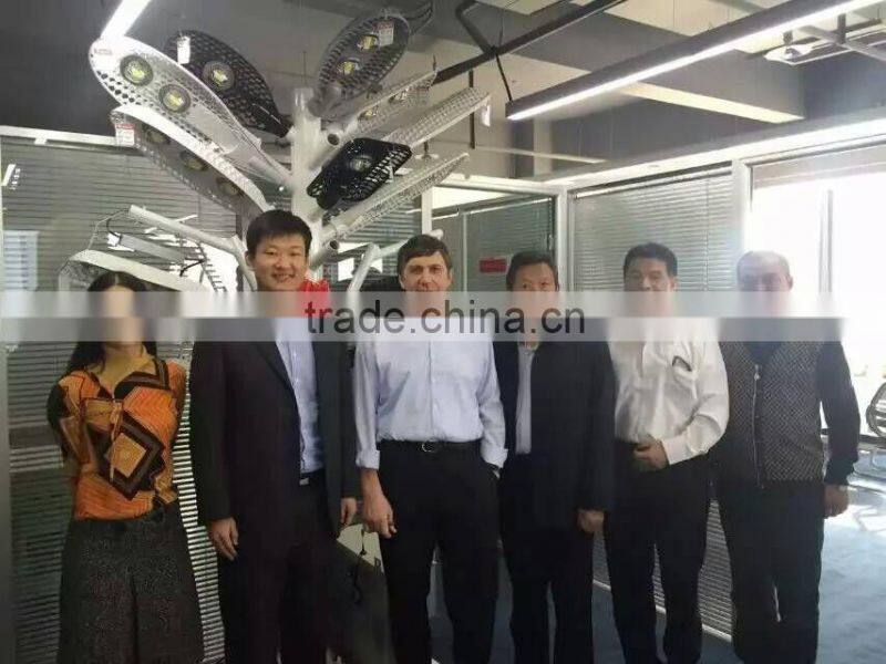 Led outdoor lighting COB IP65 30W 50W 60W Led street light