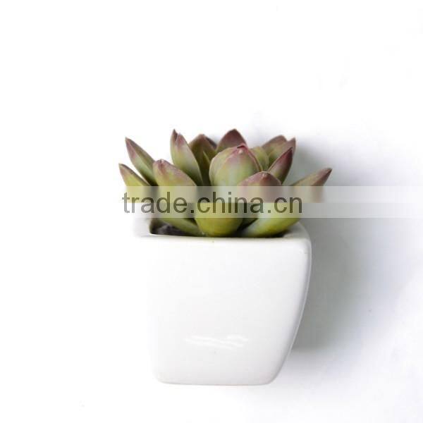 Artificial Mini Echeveria Succulent Cactus in Burgundy Green
