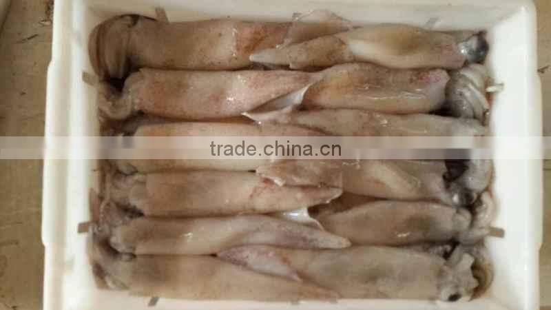 frozen whole round squid