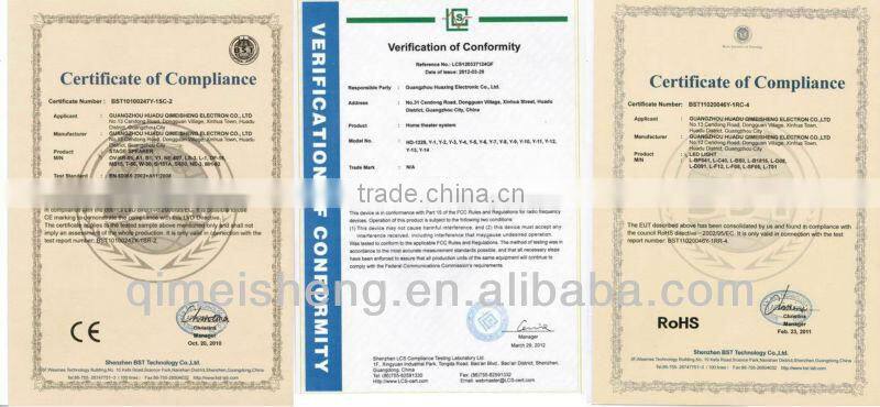 Double 6" subwoofer portable speaker with USB/SD/FM/Wireless Mic/Guitar input/Remote control