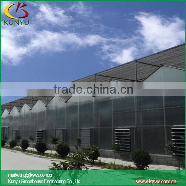 Sawtooth type polycarbonate greenhouse fiberglass greenhouse