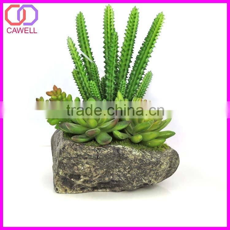 artificial cactus plant cactus succulent