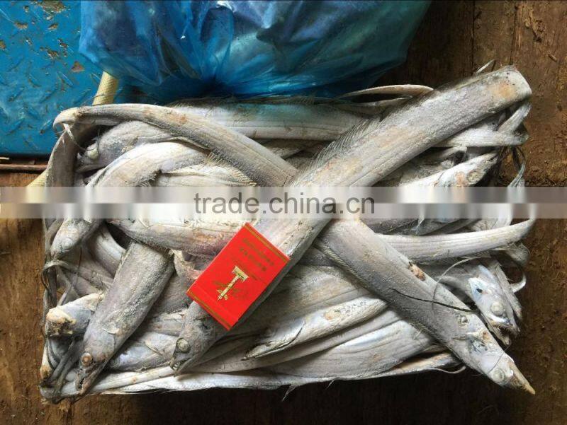 Good quality of Frozen Ribbon Fish 120-300g