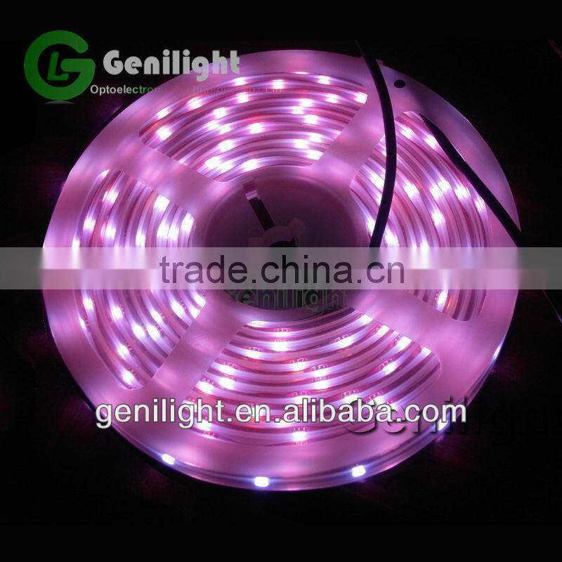 flexible 3528 led strip/led strip kits