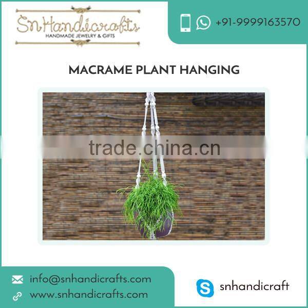 Decorative Macrame Plant Hanging Available for Indoor and Outdoor Use