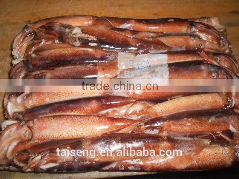 Illex argentinus squid jigs 300-400g bait fish for Tuna