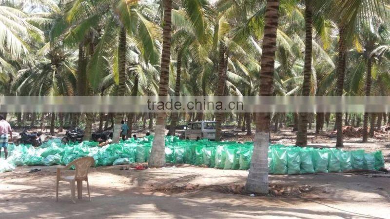semi husked coconuts !!! Bulk order !!!