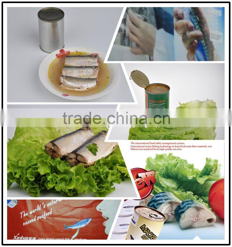 XINHAI deap sea wild mackerel canning fish wholesale