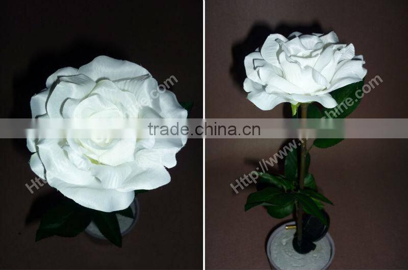factory price nice design waterproof led solar tulip garden light