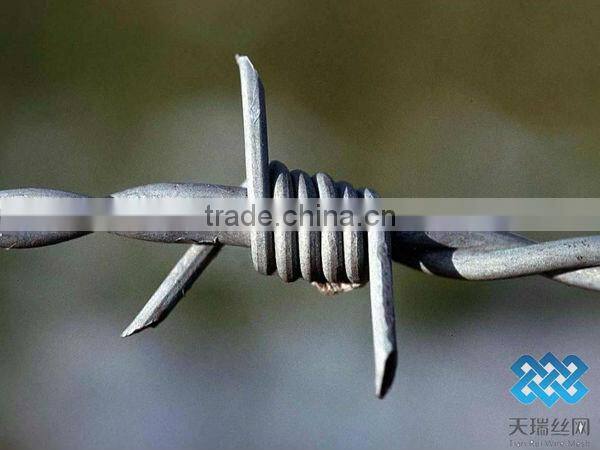 best price and quality of barbed wire manufacture
