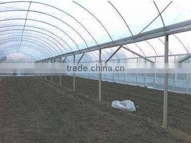 Cheap saw-tooth agricultural greenhouse /farming greenhouses