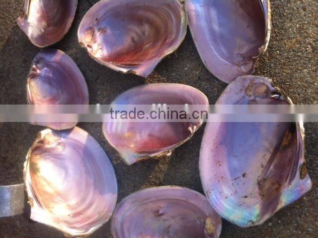 Raw material mother of pearl pink shell