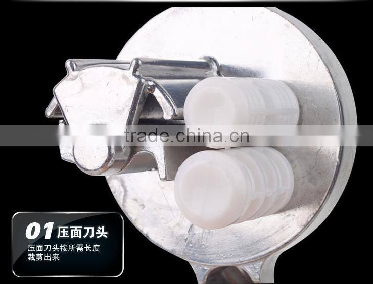 China small scale industrial Italy noodles spaghetti macaroni machines