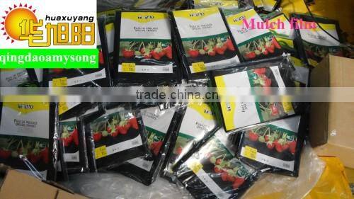 Agricultural black plastic perforated mulch film with holes for strawberry