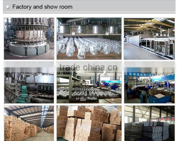 Haonai promise me water bottle, plastic infuser water bottle.