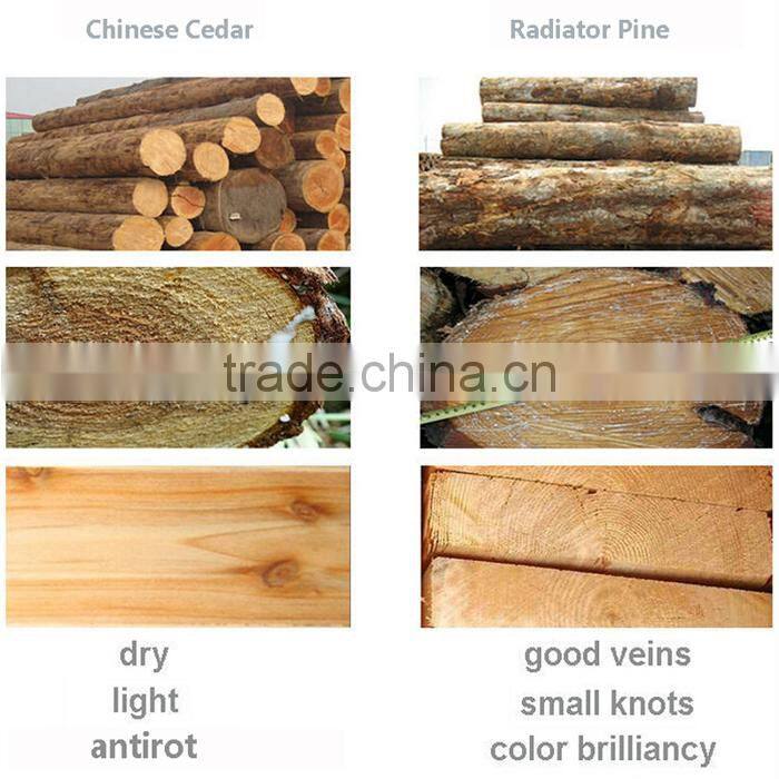 Wood Greenhouse, Garden Mini Greenhouse