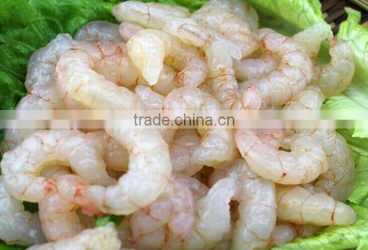 red shrimp pud with frozen