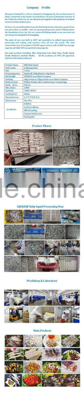 Hot sale Whole Round Frozen Baby Squid