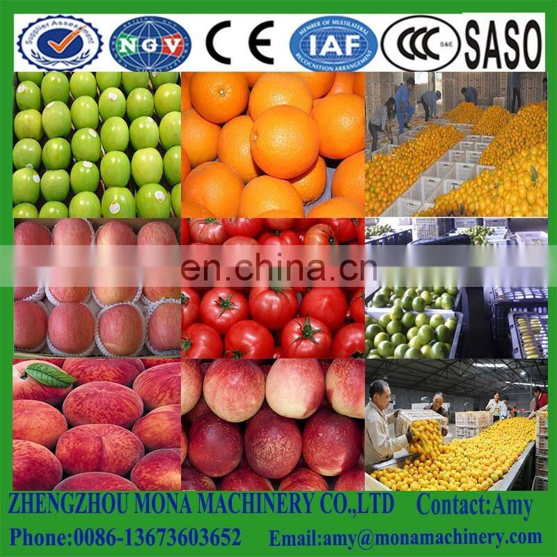 Fruit Grader For Apple/Pear/Orange/Peach According To Weight Stainless steel