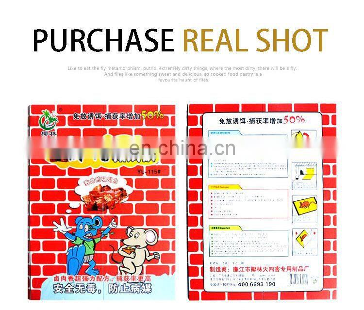 Household pest control sticky cardboard glue board trap for rats mouse