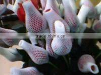 EPE foaming fruit packing Machine(TYEPEW-75CE APPROVED)